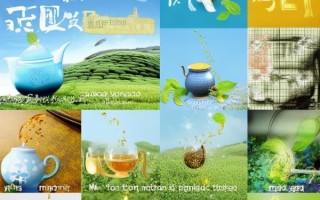 茶叶宣传案例全图，创意与效果完美呈现